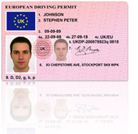 Irish driving licence templates